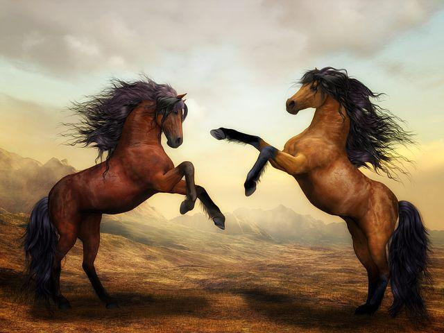 Falling off leads to Hack in Horse Riding- The Effective Tactics for Horse Riders to overcome their nerves