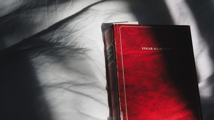 Horroism on the accounts of Edgar Allan Poe
