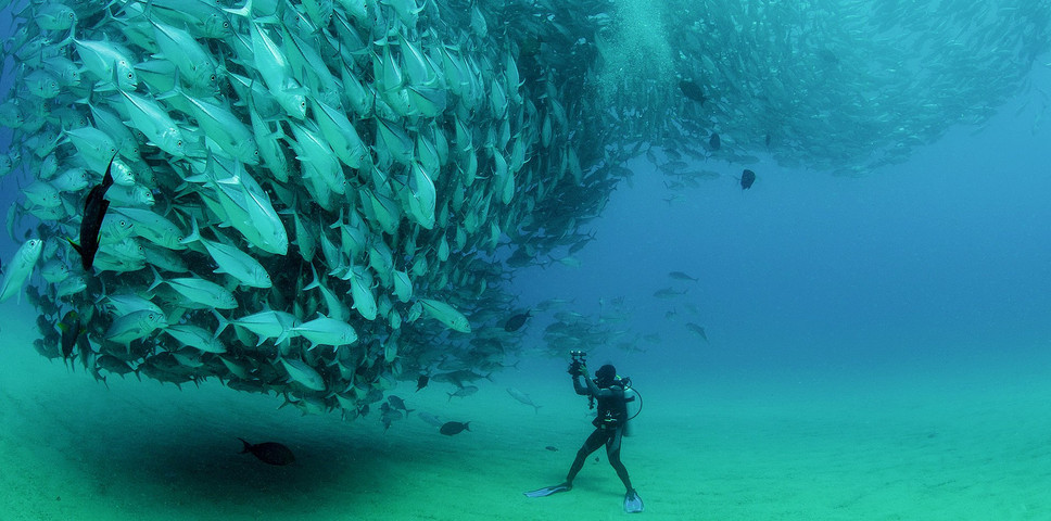 Ocean Mysteries that Scientists Couldn