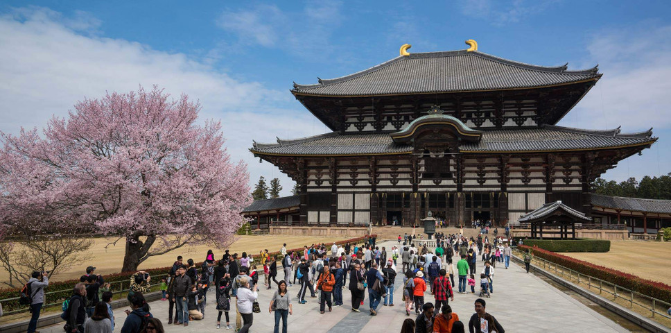 Famous places in Japan You Should Visit 