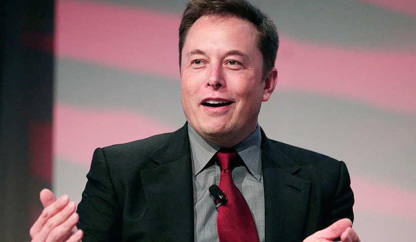 How Did Elon Musk Get So Rich ?