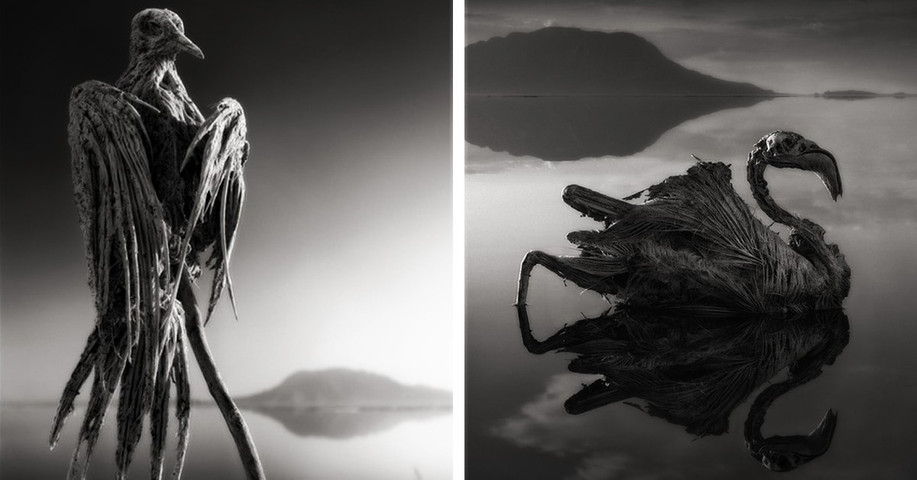 Weirdest Places in the World: Scariest Lake Natron