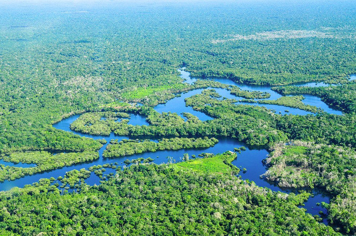 Biggest Forests In The World 