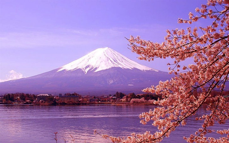 Honshu Island