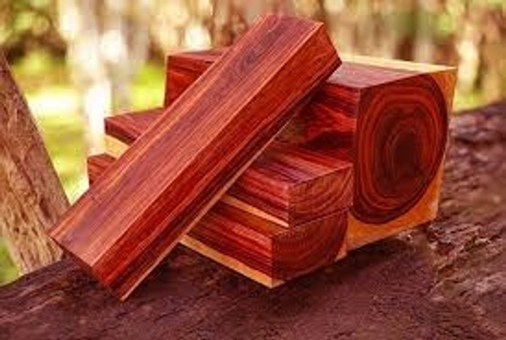 Rare red-pink color of Congobubinga wood 