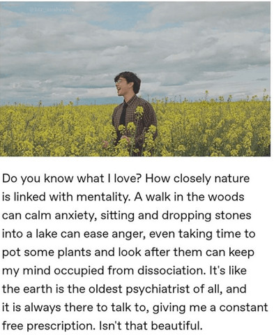 nature is peace, nature is love