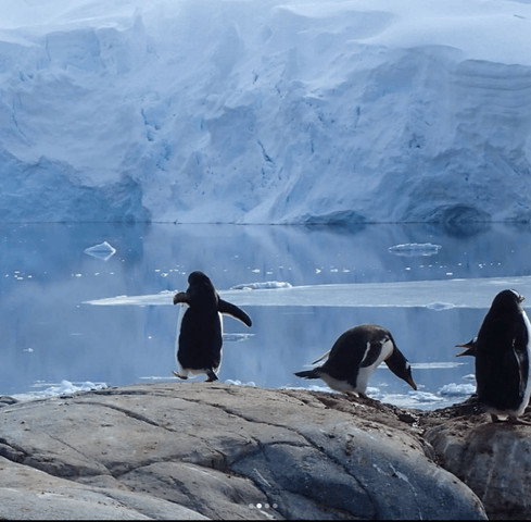 Antarctica and four women on a mission!