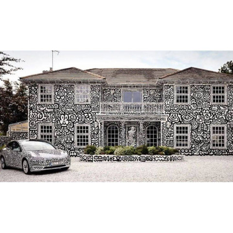 Man in UK made doodles in his million dollar house 😱