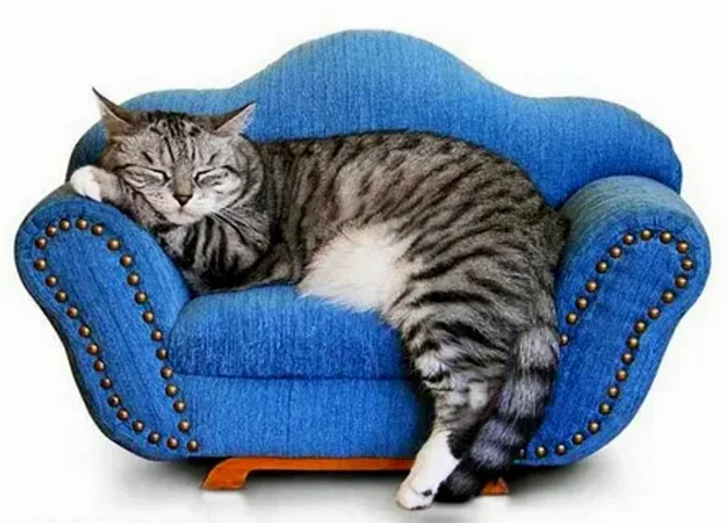 the life i want!!!!!!!!!!!