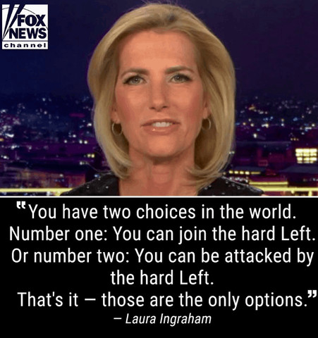 Laura Ingraham about Republicans choices….