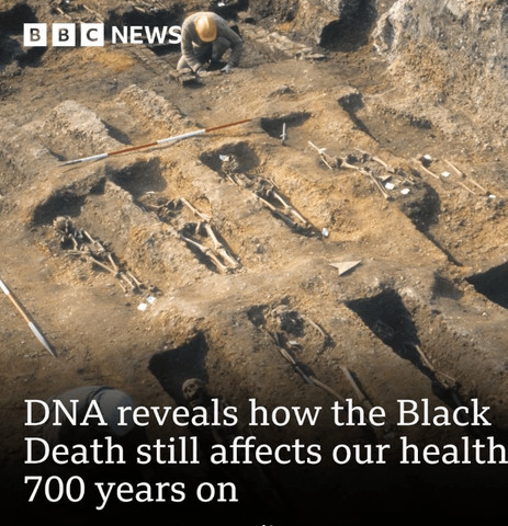 Black Death Influence on Auto immune System of today