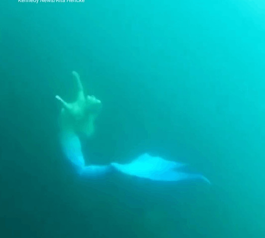 Are mermaids real???ERHHH IDK