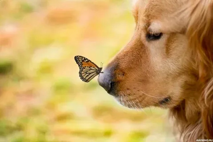 Little friends!!!!!!!!!!!!!!!!!!