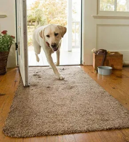 Let me clean first!!!!!!!!!!!