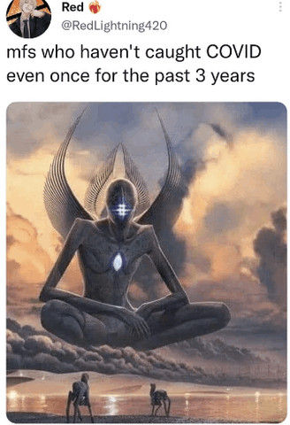 COVID MEMES..........................