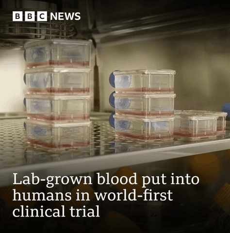 Lab grown; artificial blood.