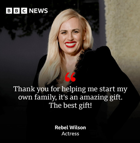 Rebel Wilson thanks for getting pregnant thru segregation