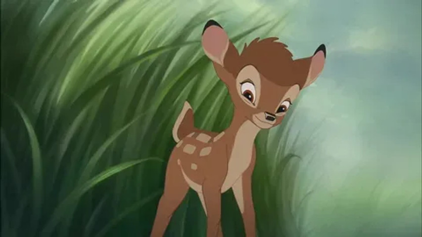 Real life bambi!!!!!!!!!!!!!!!!