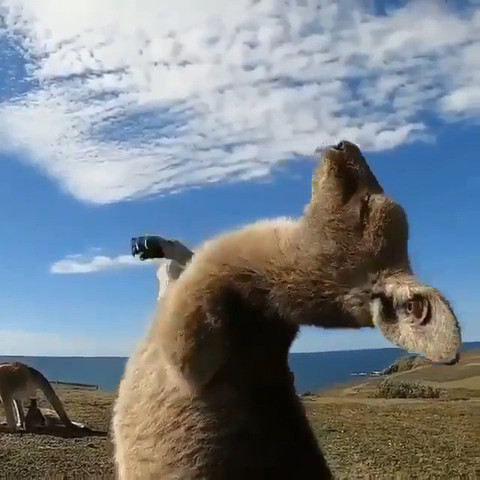 Belly Scratches in the sun!!!!!!!