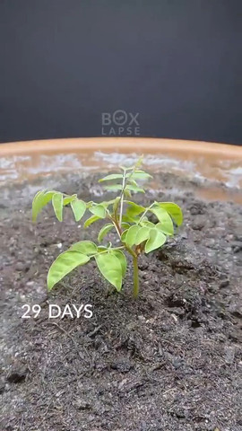 Satisfying!!!!!!!!!!!!!!!!!!!