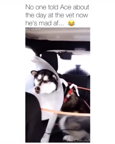 He