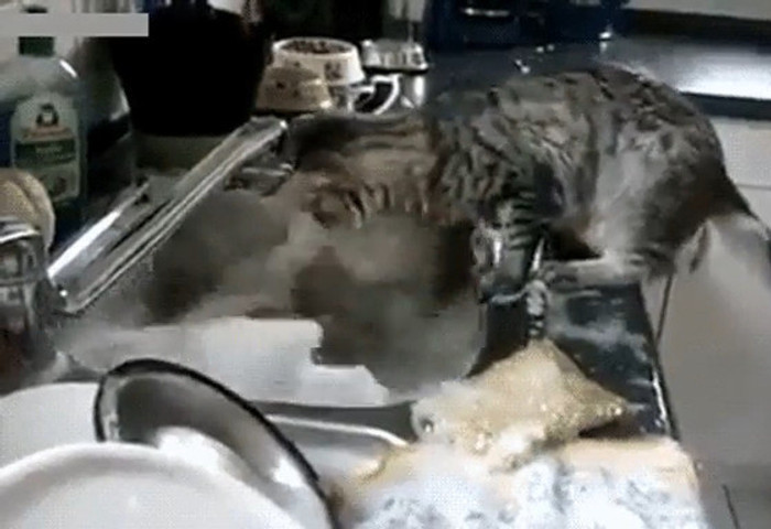 When Mom Tells You To Wash The Dishes!!!!!!!