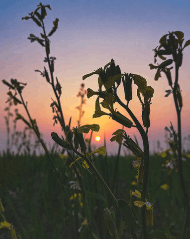 A lovely sun rise!!!!!!!!!!!!!