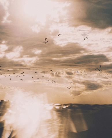 Nature in a picture!!!!!!!!!!!!!!!