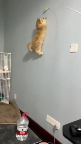 Gravity is optional!!!!!!!!!