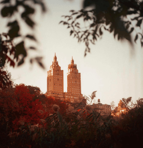 Central Park ,New York City Photography