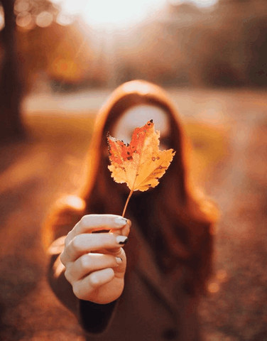 FALL PHOTOGRAPHY IDEAS!!!