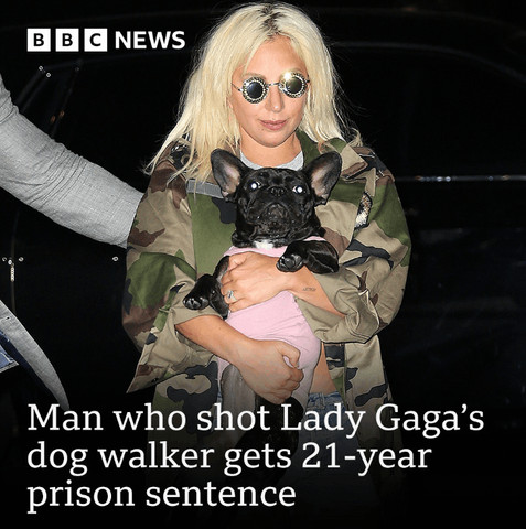 Lady Gaga’s dog got shot, man is sentenced to prison