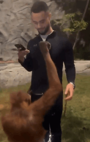 Monkey takes man