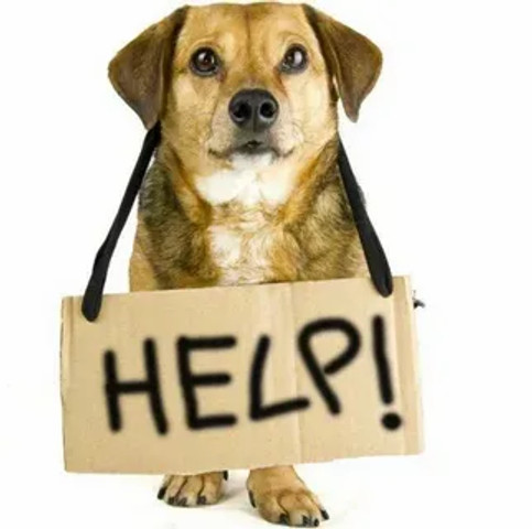 Halp brôther!!!!!!!!!!!!!!!!!!!!