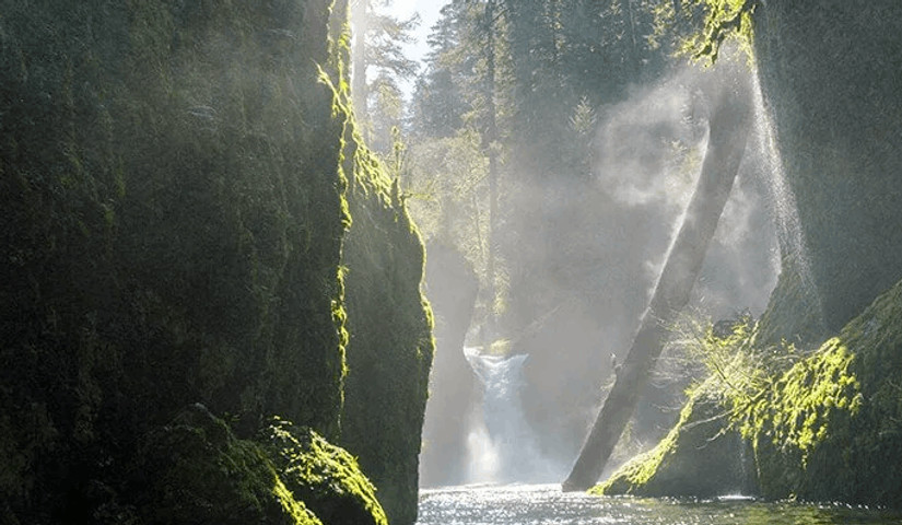 Oneonta Gorge, Oregon.........