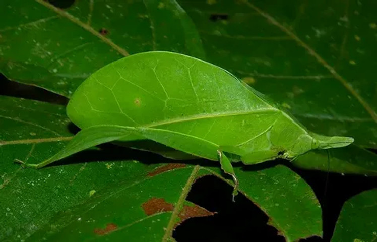 nature you are beautiful!!