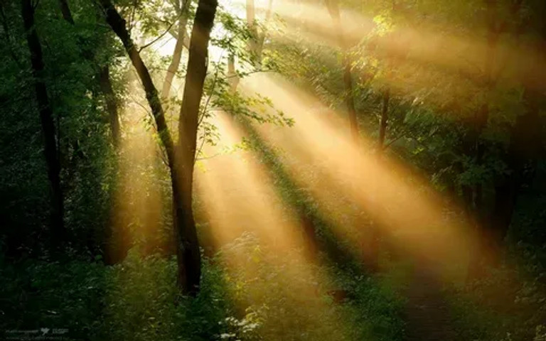 Sunbeams!!!!!!!!!!!!!!!!!!!!!