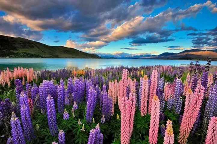 beautiful!!!!!!!!!!!!!!!!!