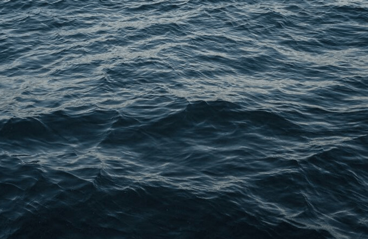 Fact about ocean #17:::::::