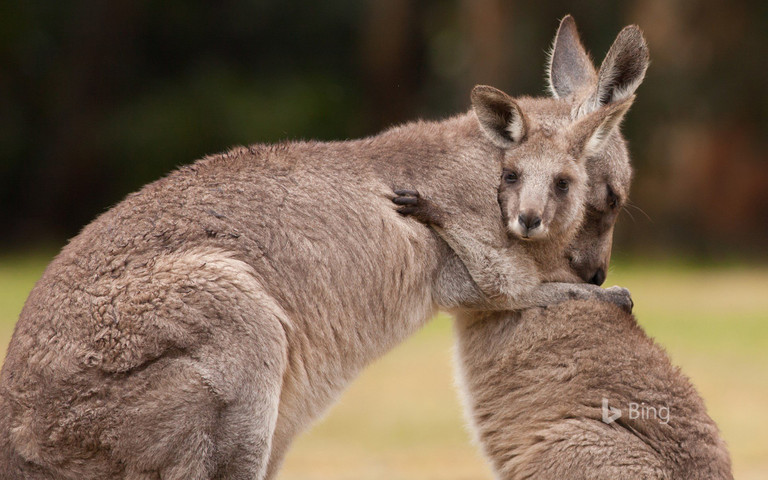 Hug that melt your heart!!!!!!!!!!!