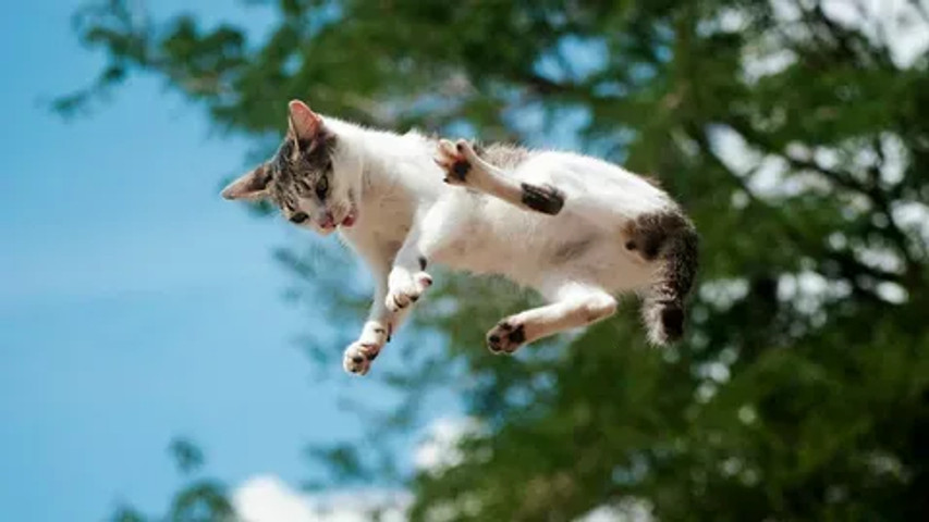 safe landing!!!!!!!!!!!!!!!!