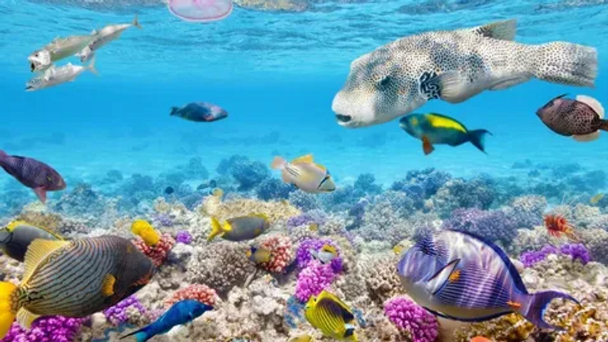 what lies beneath!!!!!!!!!!!!!!