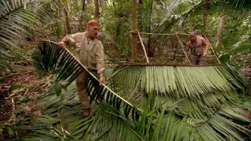 survival in jungle!!!!!!!!!!!