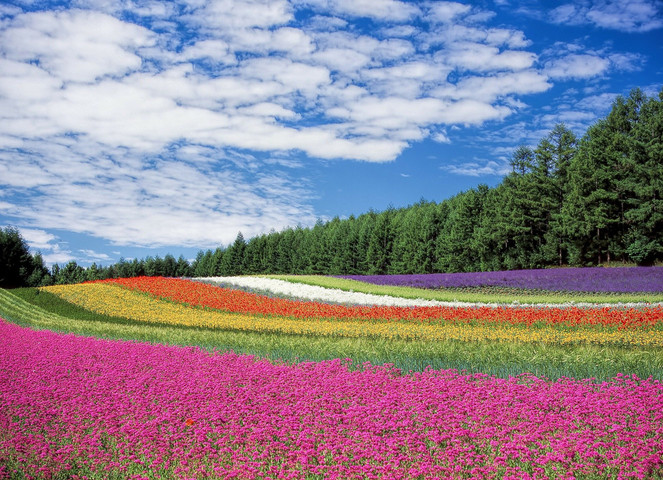 Flowery land visit..........