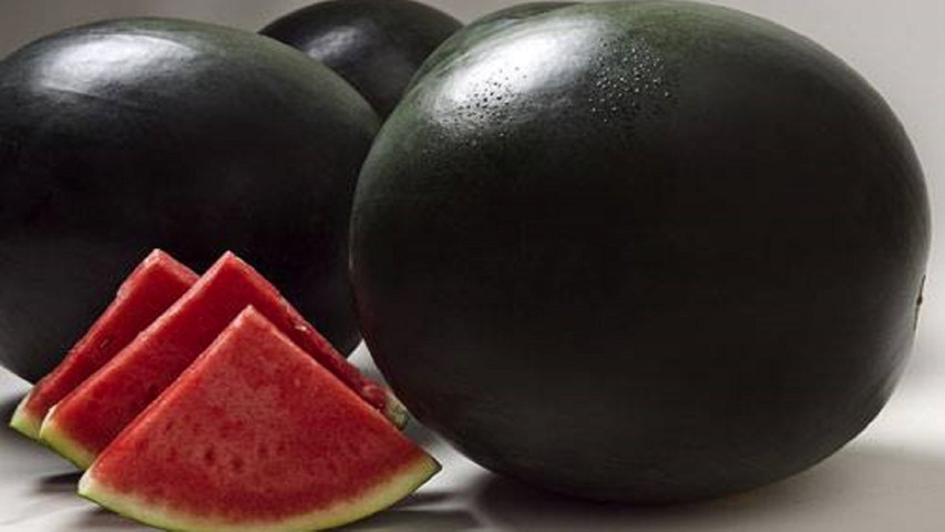 World Expensive Fruits- Densuke Watermelon