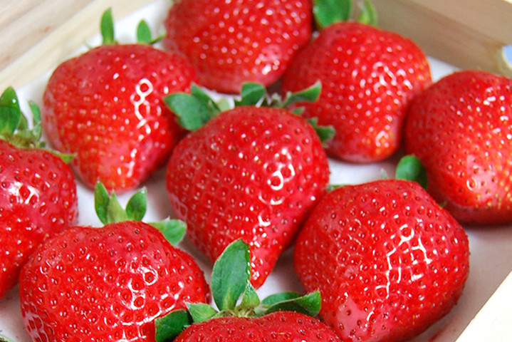 World Expensive Fruits-Sembkiya Queen Strawberries