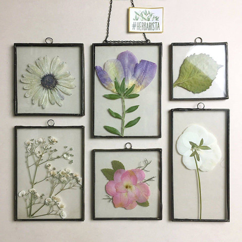 Wall Décor Ideas-Framed pressed flowers