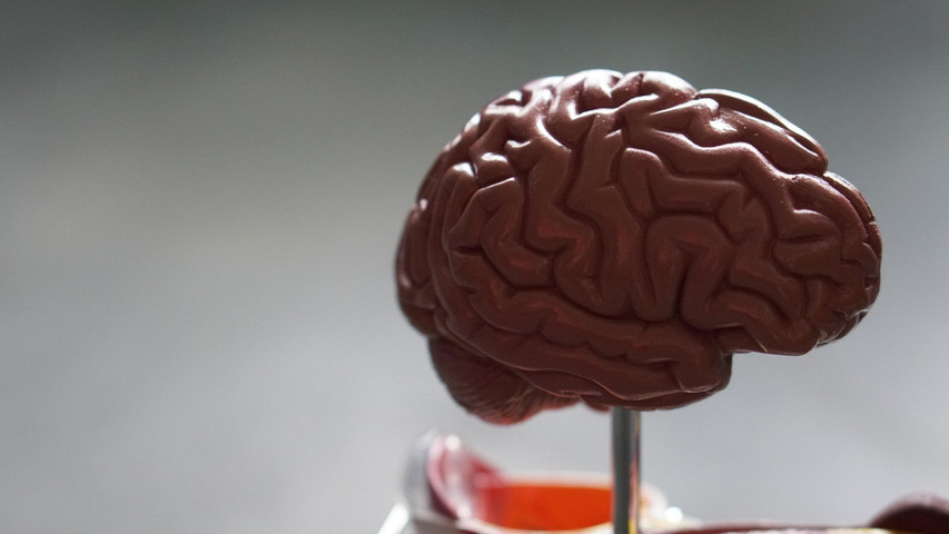 Benefits of chocolate- Boost your brain