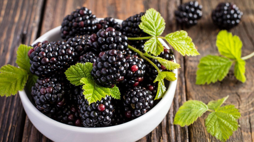 Fruits good for diabetic- Black berries