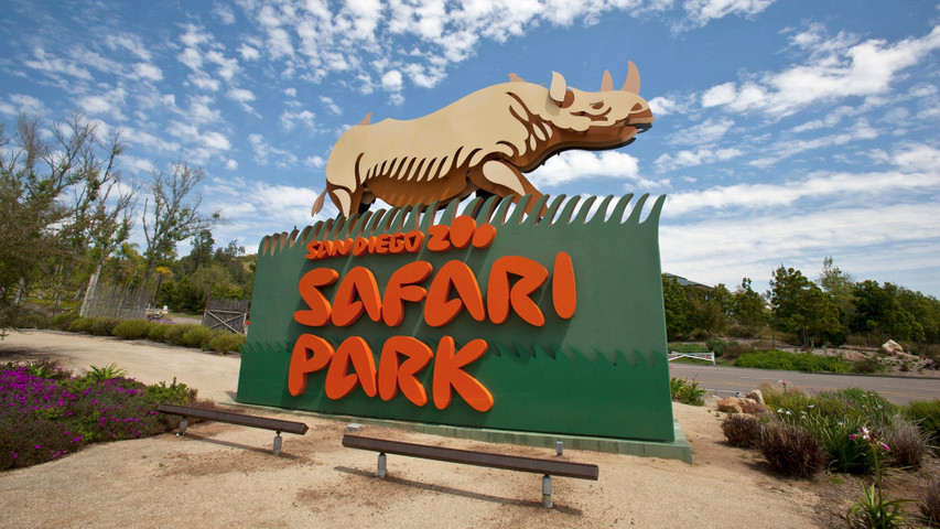 Biggest Zoos in the world-San Diego zoo Safari